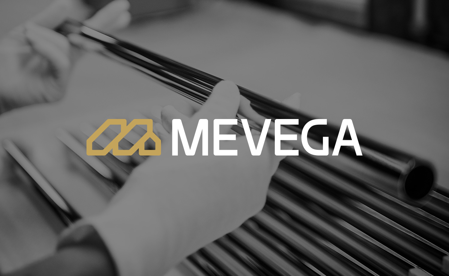 Mevega GmbH